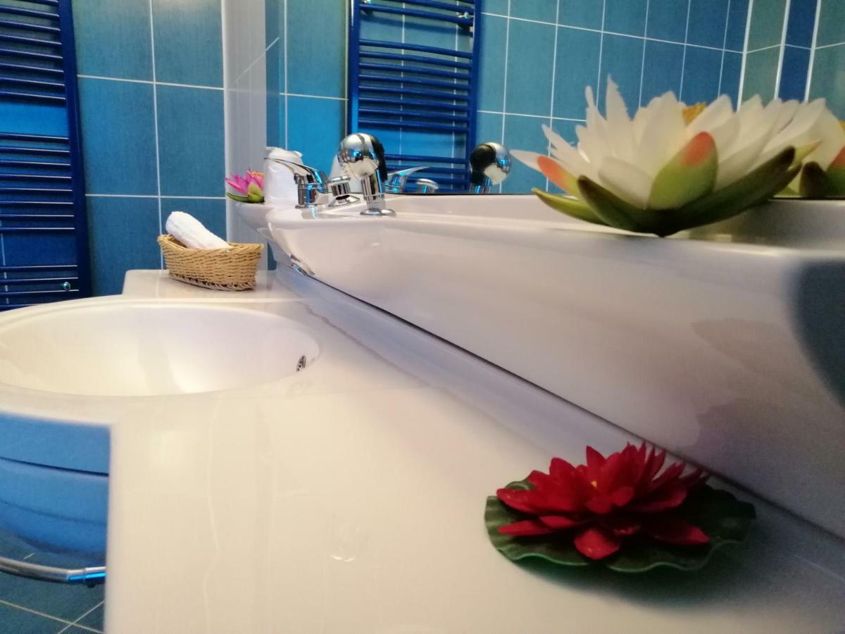 Liz Residence 피테슈티 객실 사진